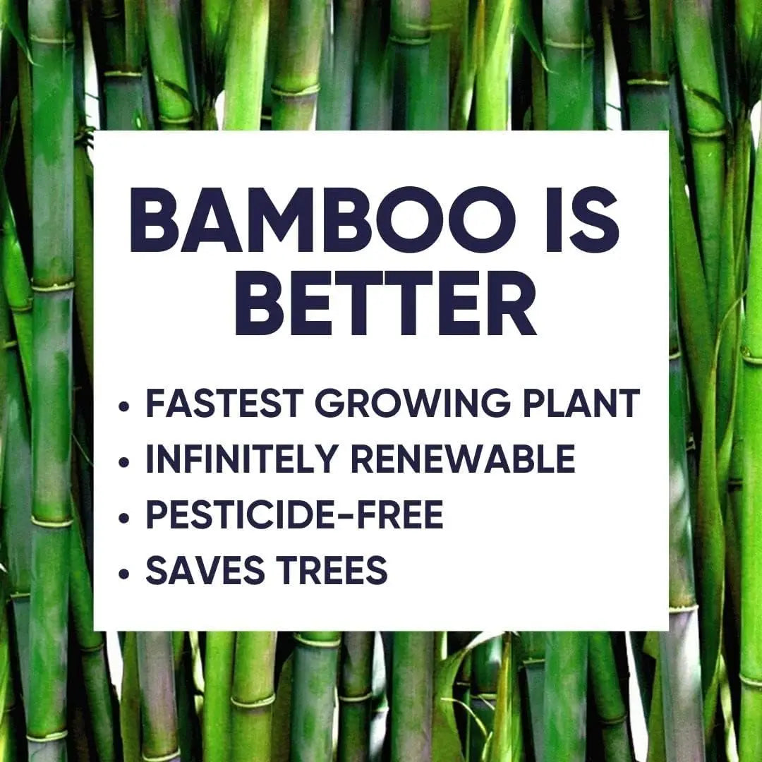 Bamboo Toilet Paper
