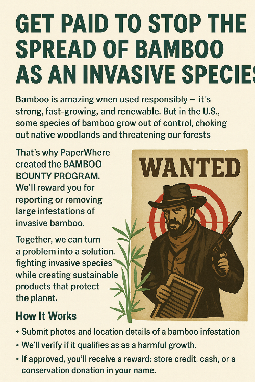 Promotional flyer for PaperWhere’s Bamboo Bounty Program featuring bold green headline text, “Get Paid to Stop the Spread of Bamboo as an Invasive Species.” The design includes a vintage-style wanted poster illustration of a cowboy bounty hunter against a red bullseye target, standing beside bamboo stalks. Text explains the program and outlines steps to participate.